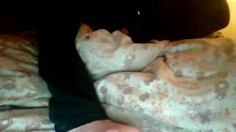 Snapshot of bigballs_dk chatting on January 2026 10:02:02 PM bigballs_dk online show from January 2026 10:02:02 PM