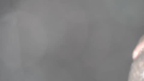 Snapshot of bigbbc97454 chatting on January 2025 12:10:01 PM bigbbc97454 online show from January 2025 12:10:01 PM