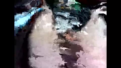 bigbird0100101 online show from February 2026 06:55:02 PM