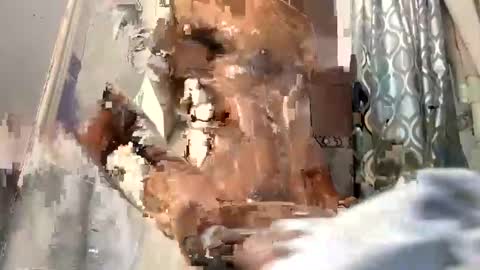 bigblackcockmello online show from December 2024 01:28:02 AM