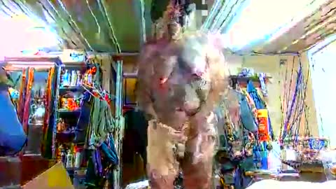 Snapshot of bigboy_604630544 chatting on September 2025 01:16:02 PM bigboy_604630544 online show from September 2025 01:16:02 PM