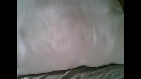 bigbravo337 online show from November 2025 02:27:02 PM