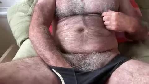 big bush online show from November 2025 10:52:02 PM