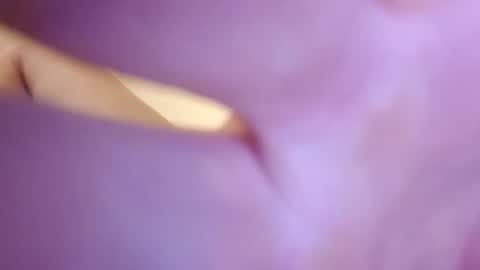 bigcock4u908 online show from December 2025 04:47:02 PM