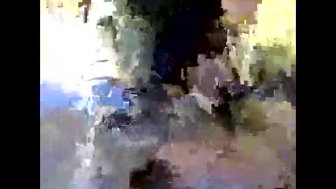 Snapshot of bigdaddydongarlets391292 chatting on October 2025 09:17:04 AM bigdaddydongarlets391292 online show from October 2025 09:17:04 AM