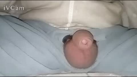 Snapshot of bigdick666cm chatting on January 2025 02:49:02 AM Big online show from January 2025 02:49:02 AM