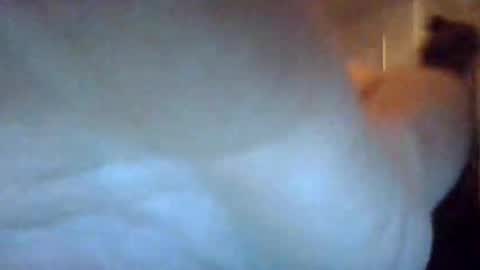 Snapshot of bigdickdaddy7201979564868 chatting on September 2025 07:10:02 AM bigdickdaddy7201979564868 online show from September 2025 07:10:02 AM