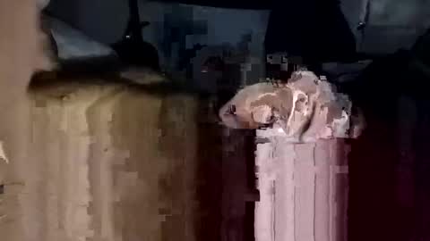 Snapshot of bigdickdaddy7201979564868 chatting on November 2025 02:17:02 PM bigdickdaddy7201979564868 online show from November 2025 02:17:02 PM