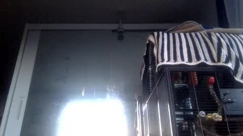 Snapshot of bigdickdangles472924 chatting on September 2025 06:08:01 PM bigdickdangles472924 online show from September 2025 06:08:01 PM