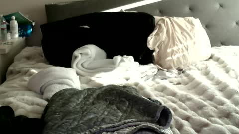 bigdickjoey1995 online show from January 2025 11:29:01 PM