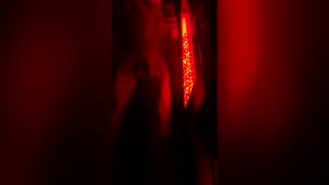 bigdickpapishampoo online show from December 2025 08:12:02 AM