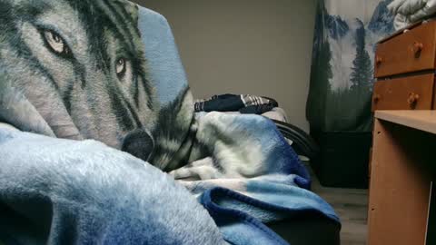 George Forest Dickyduby on all Socials online show from December 2024 05:40:02 AM