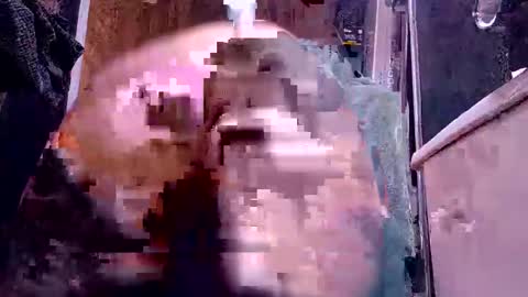 Snapshot of bigdog9thick chatting on December 2024 10:05:02 AM bigdog9thick online show from December 2024 10:05:02 AM