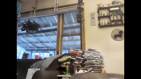 Snapshot of bigelectricrod chatting on January 2025 12:31:02 PM bigelectricrod online show from January 2025 12:31:02 PM