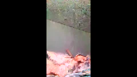 Snapshot of bigernine chatting on January 2026 11:23:01 AM bigernine online show from January 2026 11:23:01 AM