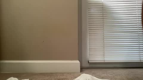 bigjohnsmith5 online show from February 2025 09:03:02 PM