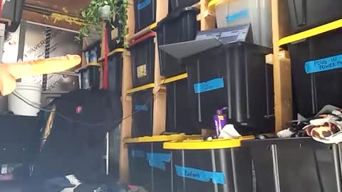 bigmanaround9 online show from December 2025 08:35:01 PM