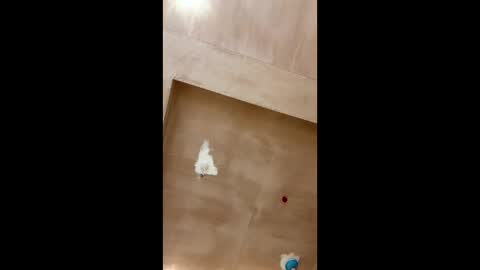 Snapshot of bigpoppa69999 chatting on January 2025 02:30:02 PM bigpoppa69999 online show from January 2025 02:30:02 PM