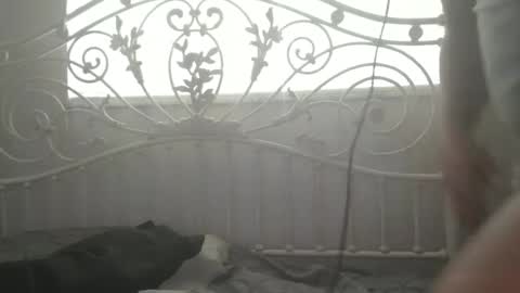 Snapshot of bigprdick101 chatting on February 2025 02:54:01 PM bigprdick101 online show from February 2025 02:54:01 PM