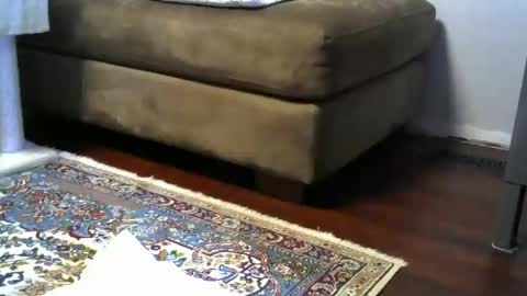 Snapshot of bigr_101 chatting on November 2025 04:29:02 AM bigr_101 online show from November 2025 04:29:02 AM