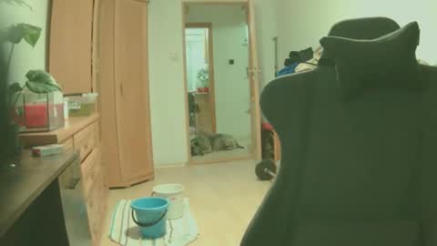 Snapshot of bigredkong7777 chatting on September 2025 06:51:02 PM bigredkong7777 online show from September 2025 06:51:02 PM