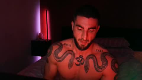 Gogo online show from November 2025 04:19:02 PM