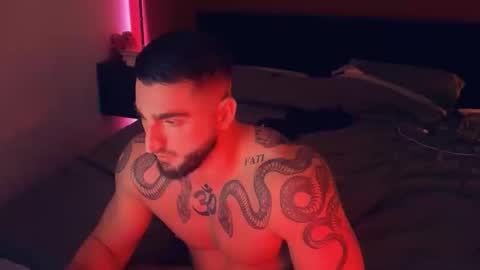 Gogo online show from November 2025 02:49:01 PM