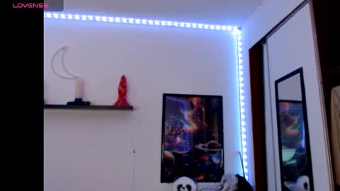 Nichole lights online show from February 2025 11:23:02 PM