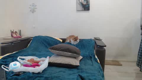 BigTwinsOmg online show from February 2026 05:51:01 AM