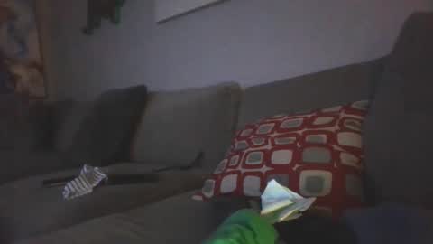 mygoosehonks online show from September 2025 10:25:02 AM