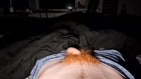 Snapshot of bigwhited2115 chatting on May 2026 07:46:02 AM Onlyfans redheadedwhitedick online show from May 2026 07:46:02 AM