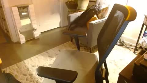 Jeff online show from March 2026 05:18:01 AM