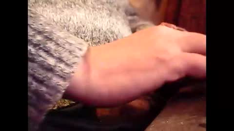 bilco03 online show from November 2025 02:17:01 PM