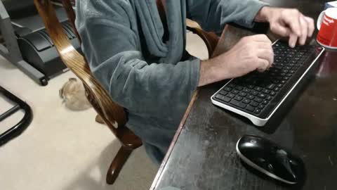 Snapshot of billy471 chatting on December 2024 11:32:02 AM billy471 online show from December 2024 11:32:02 AM