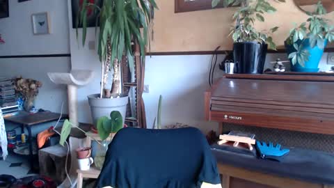 Billy FingerCut online show from March 2025 07:30:02 AM