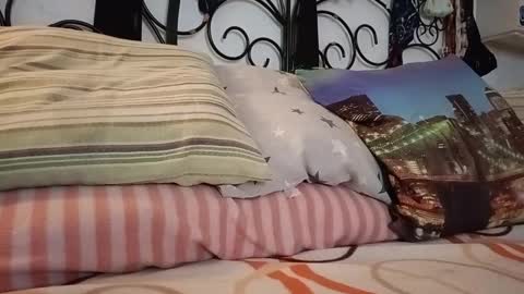 Bill online show from March 2026 06:28:02 AM