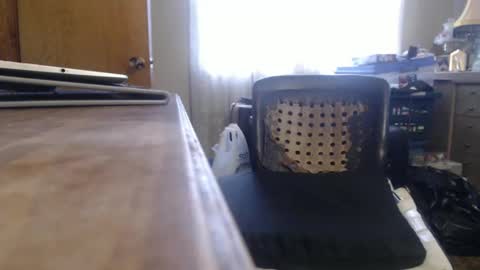 Snapshot of bimbttm chatting on December 2024 05:50:02 PM Bimbttm online show from December 2024 05:50:02 PM