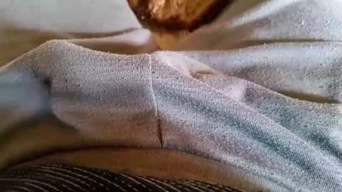 pocolococo online show from March 2026 08:51:02 AM