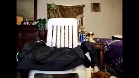 blacccocc4u2 online show from March 2026 12:16:01 PM