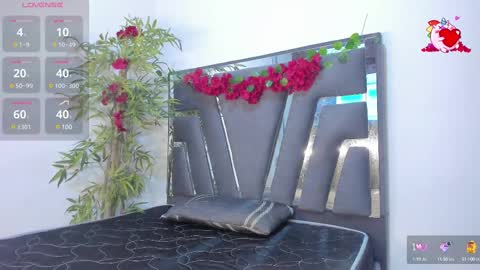 B L A C K  R O S E  online show from February 2025 11:28:02 AM