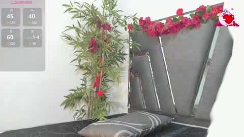 B L A C K  R O S E  online show from February 2025 11:25:01 AM