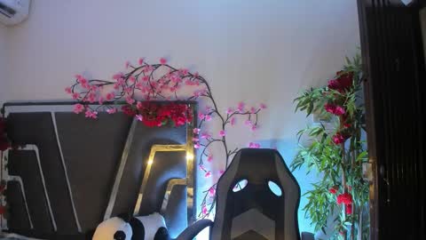 B L A C K  R O S E  online show from November 2025 11:19:01 AM