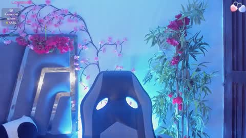 B L A C K  R O S E  online show from November 2025 11:20:02 AM