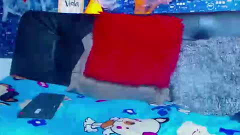 Snapshot of black_seus85 chatting on November 2025 05:13:01 PM duglas online show from November 2025 05:13:01 PM