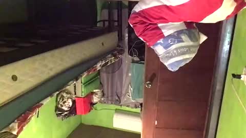 Crystal online show from February 2026 02:30:01 AM