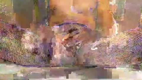 blackbigdickfr online show from December 2025 12:34:02 PM