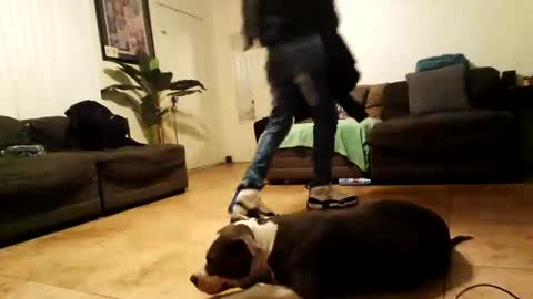 Snapshot of blackriches96 chatting on February 2025 10:00:02 AM blackriches96 online show from February 2025 10:00:02 AM