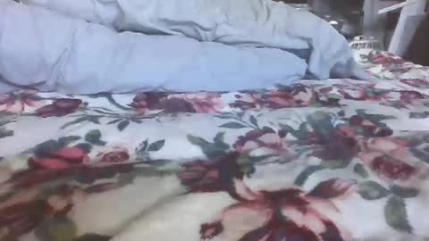 blame1269 online show from October 2025 07:07:02 PM