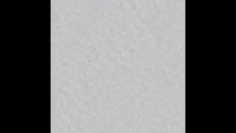 Blase Hase12 online show from October 2025 08:33:02 PM