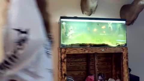 blasianangel444 online show from April 2026 05:32:02 AM